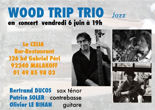 img/agenda/20140606_wood_trip_trio.jpg (paysage)